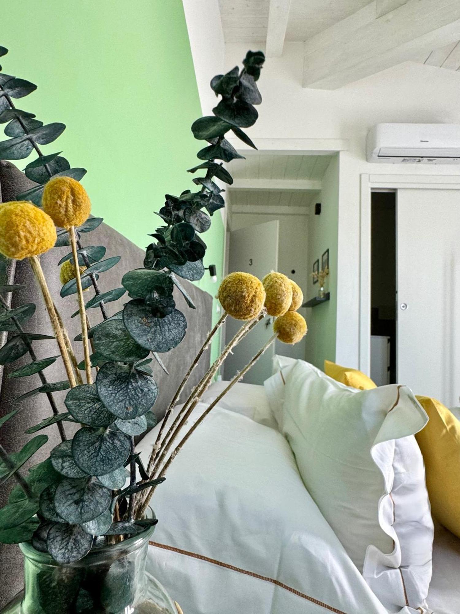 Citroom - * Olbia